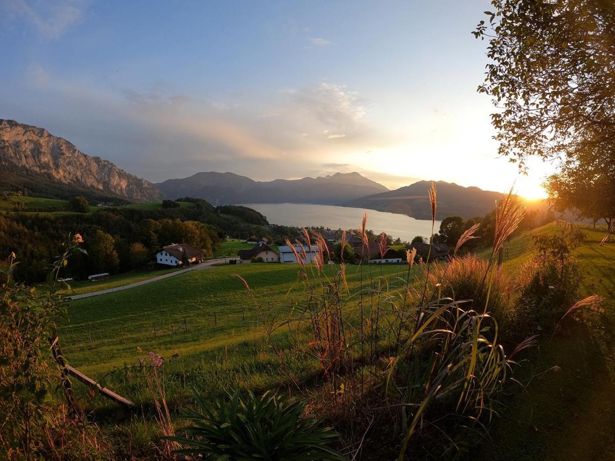 Biohof Schwanser Steinbach am Attersee Εξωτερικό φωτογραφία