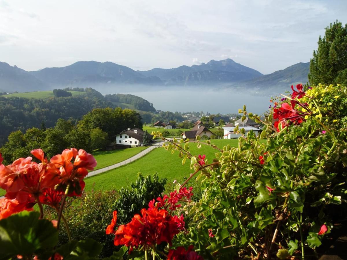 Biohof Schwanser Steinbach am Attersee Εξωτερικό φωτογραφία