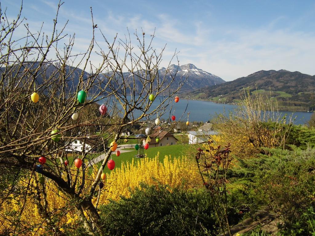 Biohof Schwanser Steinbach am Attersee Εξωτερικό φωτογραφία