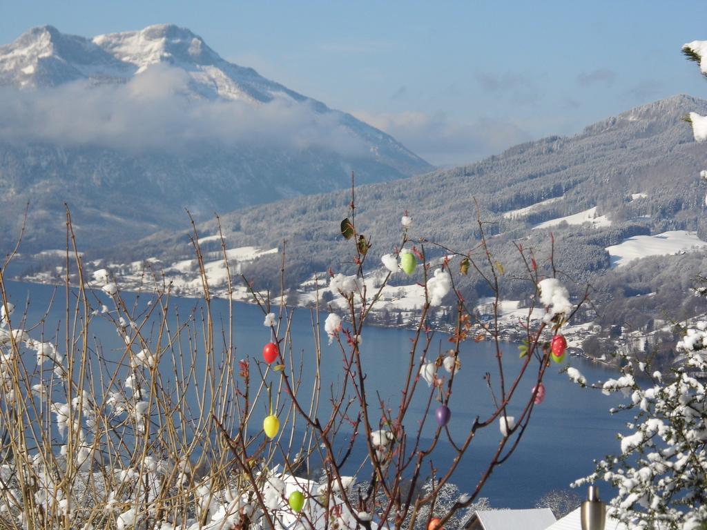 Biohof Schwanser Steinbach am Attersee Εξωτερικό φωτογραφία