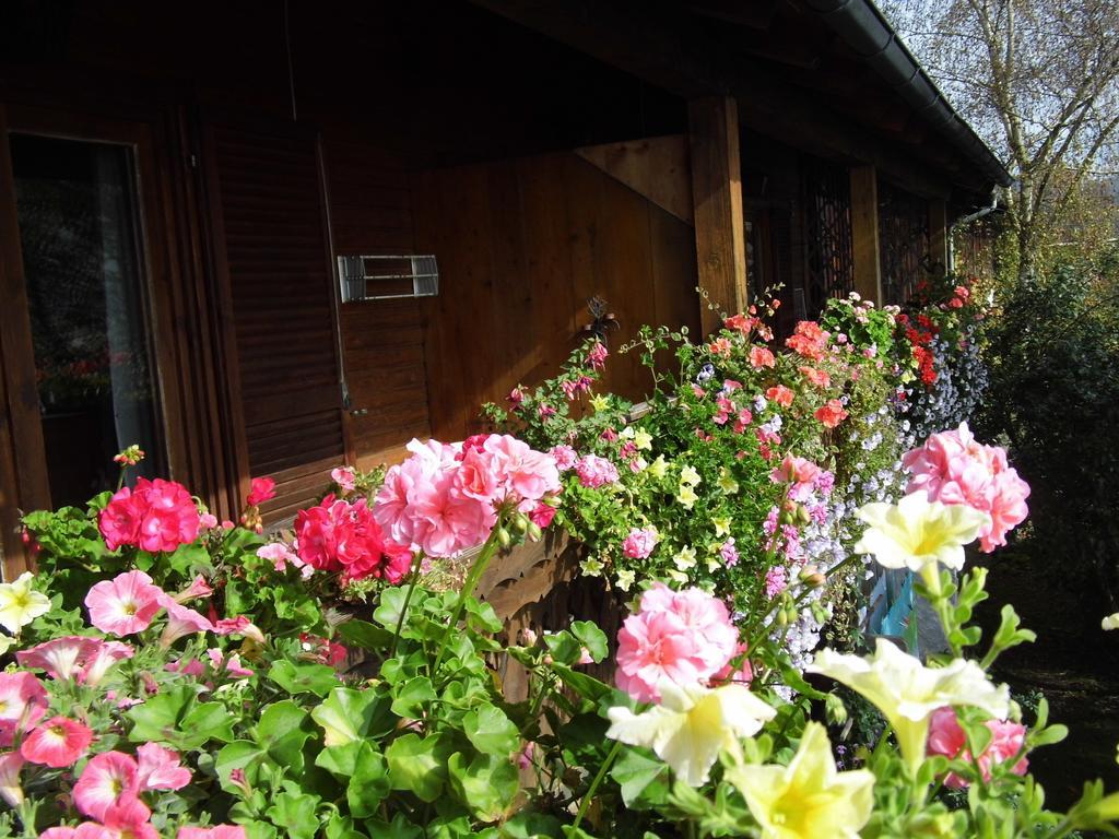 Biohof Schwanser Steinbach am Attersee Εξωτερικό φωτογραφία