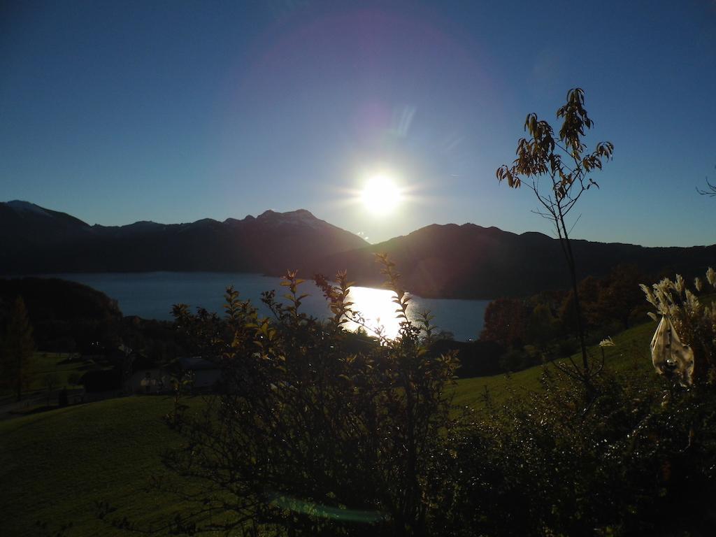 Biohof Schwanser Steinbach am Attersee Εξωτερικό φωτογραφία