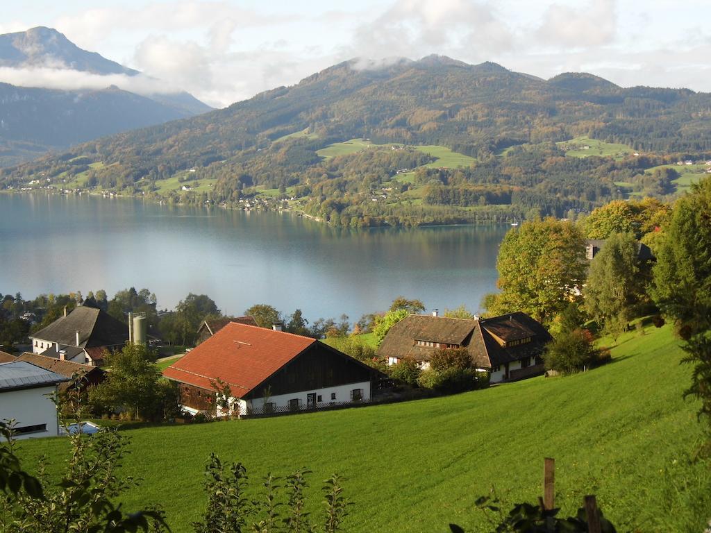 Biohof Schwanser Steinbach am Attersee Εξωτερικό φωτογραφία