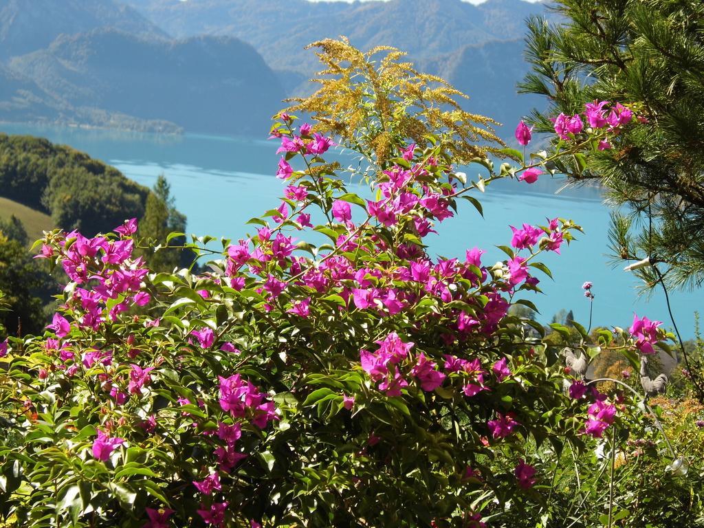 Biohof Schwanser Steinbach am Attersee Εξωτερικό φωτογραφία
