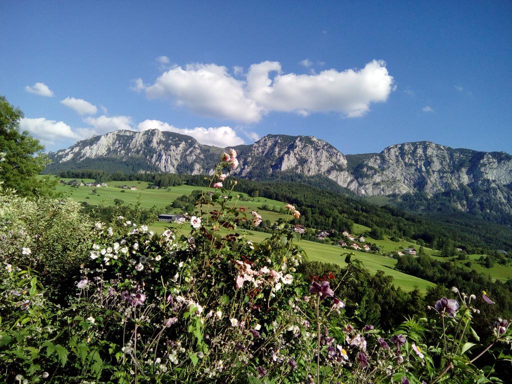 Biohof Schwanser Steinbach am Attersee Εξωτερικό φωτογραφία