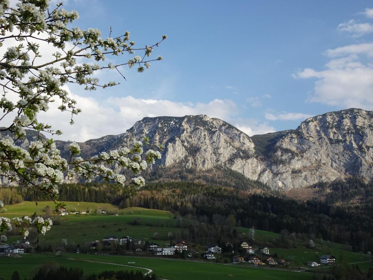 Biohof Schwanser Steinbach am Attersee Εξωτερικό φωτογραφία